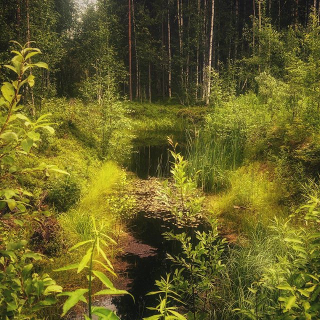 Исторические хитросплетения, квесты и мифы… 